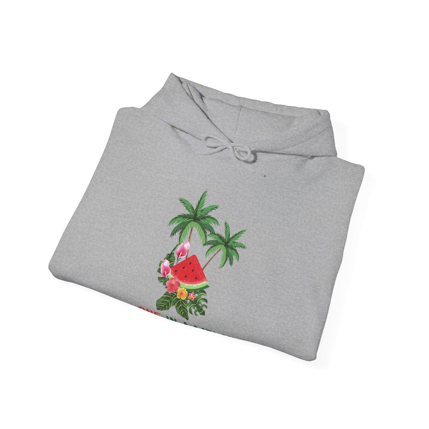 One in a Melon Hooded Sweatshirt - Unisex